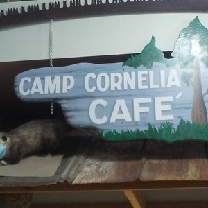 Fundraising Page: Leah Loper